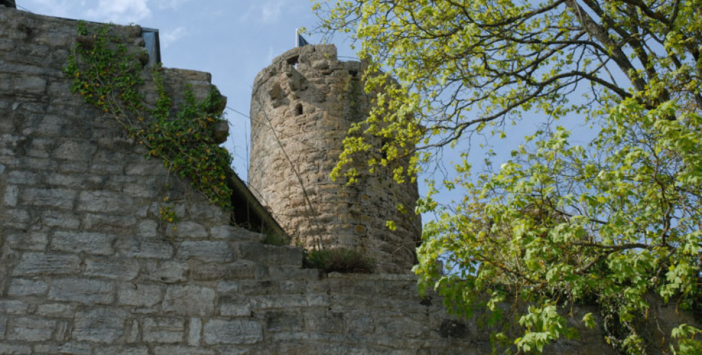 Behind a part of a castle's wall you see the main tower of the Krautheim Castle. On the right there's a tree with light green leaves. The sky is blue, the sun shines on the motif.