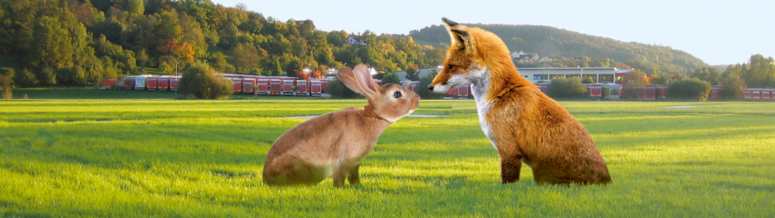 On a huge meadow, a rabbit is sitting on the left and a fox on the right and seem to be talking. In the background you can see buildings and trucks of the forwarding agency.
